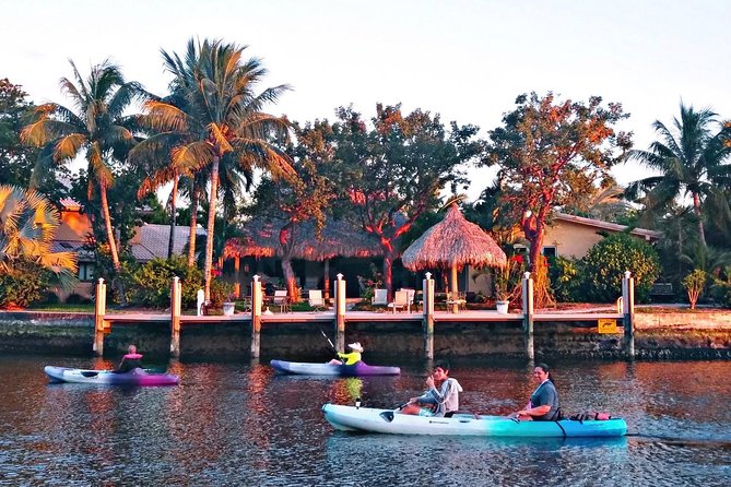 Kayak Trip Through The Mangroves fort lauderdale