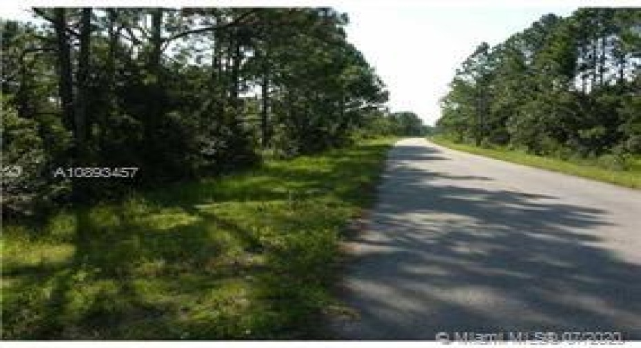 Sun'N Lake road entrance to Fettuccine Ave