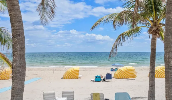  Beach on the Atlantic