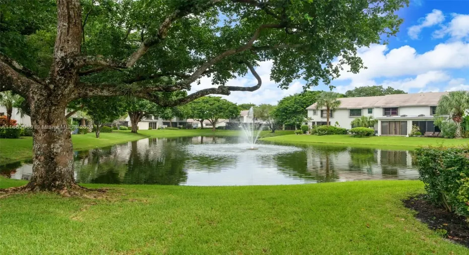 Lake view behind building